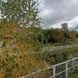 ŠTIBŘÍK JIŘÍ Ing.