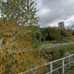 obrazek: avatar ŠTIBŘÍK JIŘÍ Ing.