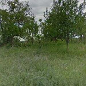 obrazek: avatar PALČÍK MIROSLAV