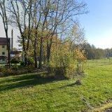 W. WÜLFING CZ s.r.o.