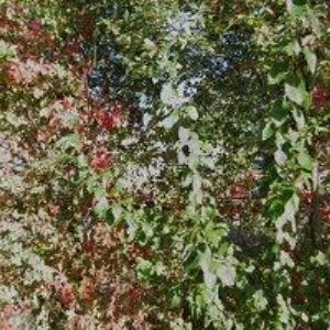 obrazek: avatar VÝROBA STUH-ELAS