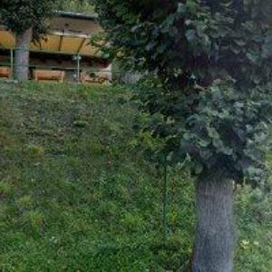 obrazek: avatar TJ SOKOL Frýdštejn