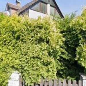 obrazek: avatar SILVINI MADSHUS TEAM, z.s.