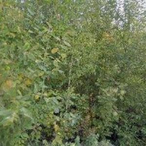 obrazek: avatar JIZERKA-TEXTIL s.r.o.