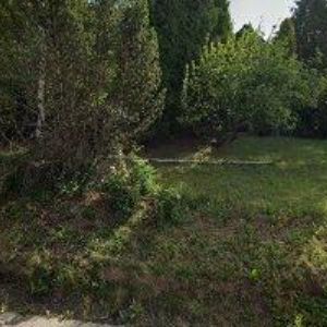 obrazek: avatar NELLY s.r.o.