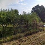 DÉMONI ČESKÁ LÍPA