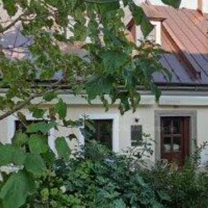 obrazek: avatar JIŘÍČKOVÁ ALENA