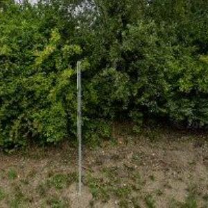 obrazek: avatar MEHES TOMÁŠ