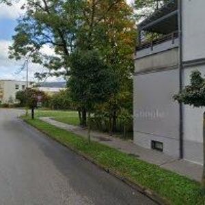 obrazek: avatar LIBERECKÉ GAZELY z. s.