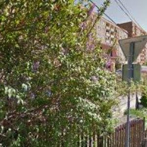 obrazek: avatar ADRENALIN CENTRUM