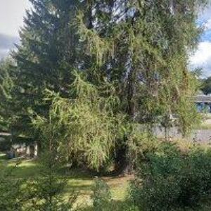 obrazek: avatar TJ Lučany nad Nisou