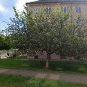 obrazek: avatar ČESKÝ KRKONOŠSKÝ SPOLEK SKI JILEMNICE o.s.