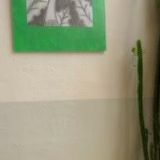 SPORTOVNÍ KLUB STOLNÍHO TENISU Liberec