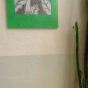 obrazek: avatar SPORTOVNÍ KLUB STOLNÍHO TENISU Liberec