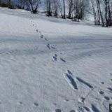 MY SKI SCHOOL s.r.o.