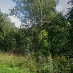 obrazek: avatar EUROPEAN GOLF & COUNTRY CLUB, z.s.