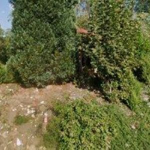 obrazek: avatar TJ SOKOL Příkrý