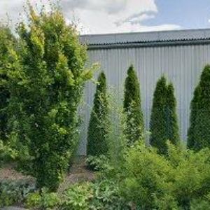 obrazek: avatar ORION-RACING TEAM s.r.o.