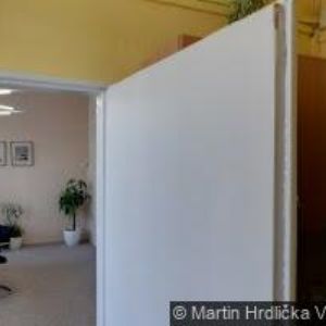 obrazek: avatar TANEČNÍ ŠKOLA BESTA