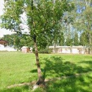 obrazek: avatar 1. FC ŽAMBERK z.s.