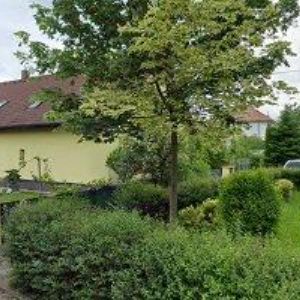 obrazek: avatar T.J. SOKOL Dolní Ředice, z. s.