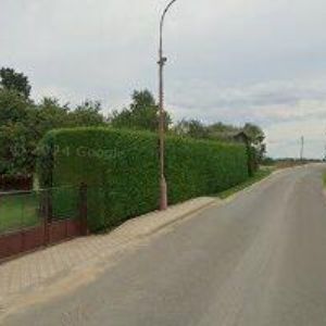 obrazek: avatar TJ SOKOL Slepotice, z.s.