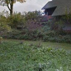 obrazek: avatar TAOM-SDRUŽENÍ TĚLESNÝCH A DUŠEVNÍCH AKTIVIT