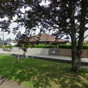 obrazek: avatar TJ SOKOL Roveň