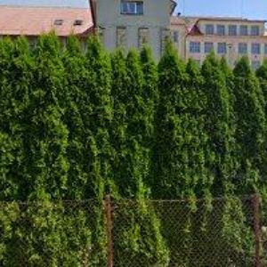 obrazek: avatar TJ SOKOL Kunvald