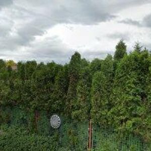 obrazek: avatar TJ SOKOL Lukavice