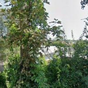 obrazek: avatar TJ SOKOL Ústí nad Orlicí