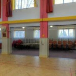 obrazek: avatar TJ SOKOL Slatiňany