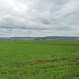 JESSGROVE CENTRAL EUROPE s.r.o.