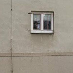 obrazek: avatar PARDUBICE STALLION, z.s.