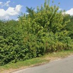 obrazek: avatar Ing. LUBOMÍR HORKÝ-LUIZ s.r.o.