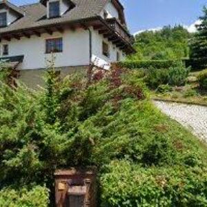 obrazek: avatar SANTI