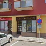 JANOŠTÍKOVÁ-ČALOUNICTVÍ