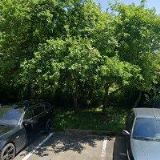 HUKILAU SQUARE DANCE CLUB