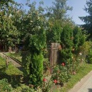 obrazek: avatar BONETKA SVATEBNÍ SALON