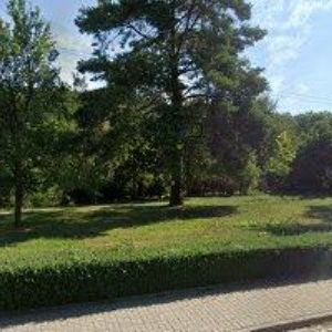 obrazek: avatar KYRYCHOVÁ RADKA