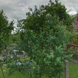 ROKASO TANEČNÍ KLUB UHERSKÉ HRADIŠTĚ