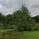 OREL JEDNOTA Vizovice