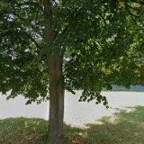 FLORBALOVÝ KLUB HOLEŠOV