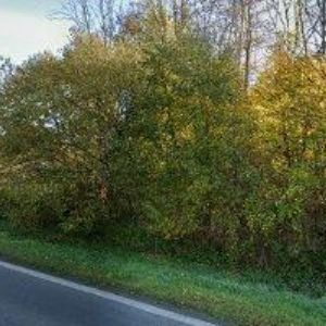 obrazek: avatar NUHLÍČEK VÁCLAV