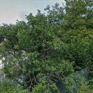 obrazek: avatar MÓDA XXL PRACOVNÍ ODĚVY