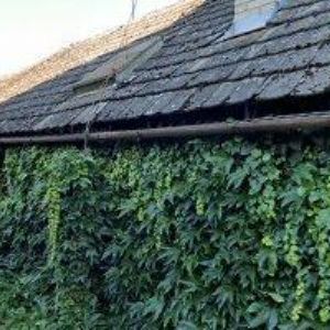 obrazek: avatar HNÁTÍK VÁCLAV