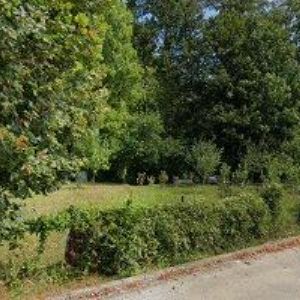 obrazek: avatar SALON LOTOS