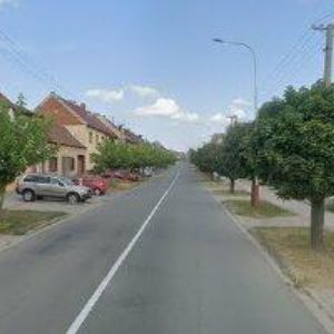 obrazek: avatar BRŠLICOVÁ DARINA