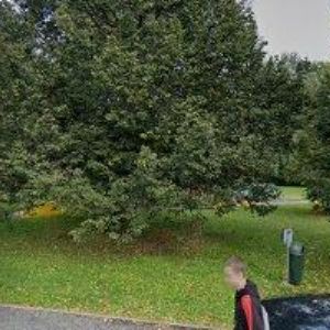 obrazek: avatar VI-PO