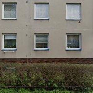 obrazek: avatar BLUEBERRY